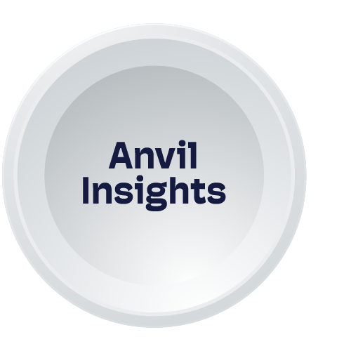 anvil-insights-segment
