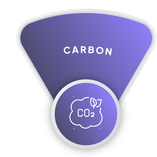 carbon-segment-purple