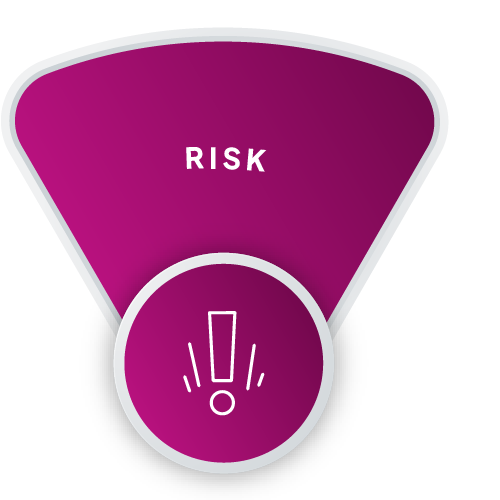 risk-segment-maroon