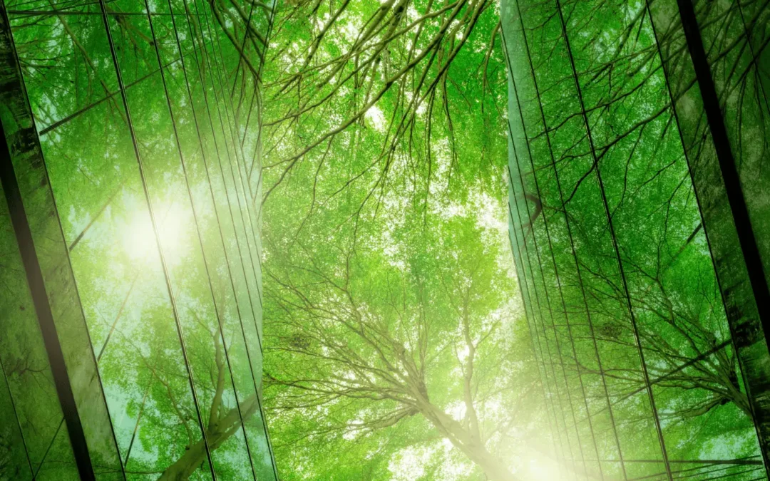 Anvil Analytical and GoNetZero Collaborate to Strengthen Carbon Emissions Tracking Across the Value Chain